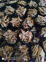 Sesuai juga kepada mereka yang vegan. Resepi Almond Crunchy Chocolate Makan Sedap Johor Facebook