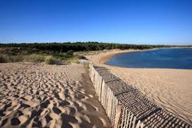 Venez Apprecier Les Belles Plages De La Vendee Vendee Tourisme Vendee Tourisme Vacances Vendee Vendee France