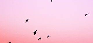 Division of child and adolescent psychiatry Free Guided Meditations For Inner Peace Relaxation