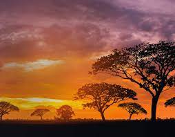 Kenya, country in east africa famed for its scenic landscapes and vast wildlife preserves. Send Money To Kenya From Germany Western Union De