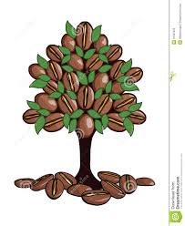 The Coffee Tree Stock Photos Image 31967003 Coffee Tree Coffee Tree
