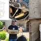 Annual Honey Harvest at Golden Acres Organic Farm
