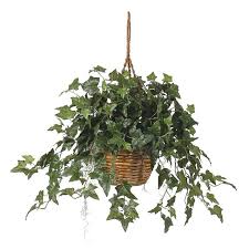 Nearly Natural English Ivy Hanging Basket Silk Plant 6507 Artificial Plants Small Artificial Plants Plants