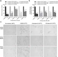 Analysis of biofilm formation (a), cytotoxicity (b) and hyphal...