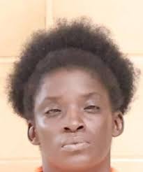 Shreveport Woman Arrested Following Child Neglect Incident