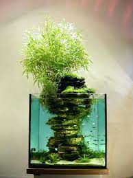 21 Best Aquascaping Design Ideas To Decor Your Aquarium Tips Inside Homelovers Indoor Water Garden Aquarium Aquarium Design