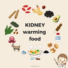 How Does Chinese Medicine View Hypothyroidism Kanpobliss Chinese Medicine Acupuncture Hypothyroidism