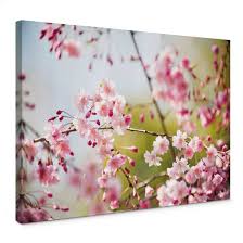 Check spelling or type a new query. Cherry Blossoms Canvas Print Wall Art Com