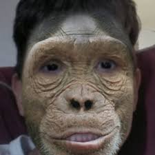 Stream Jorge Jacinto music