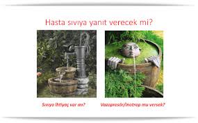 Yogun Bakim Kalite Platformu Dahiliye Uzmani