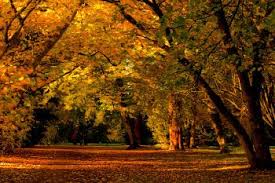 Check spelling or type a new query. When Is The Fall Equinox 2021