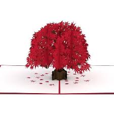 Save big with the best lovepop cards coupons, discounts and lovepop cards coupon codes. Free Lovepop For Business 3d Pop Up Greeting Card A 13 Value Vonbeau