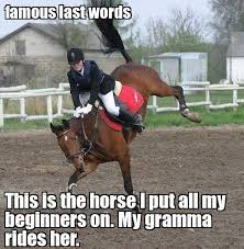 Beginner Horse Funny Horse Memes Horses Funny Horses