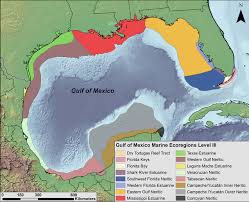 Interactive weather map allows you to pan and zoom to get unmatched weather details in your local neighborhood or half a world away from the weather channel and weather.com Habitats And Biota Of The Gulf Of Mexico An Overview Springerlink