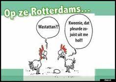Zieer Nl Grappige Plaatjes Grappige Foto S Grappige Videos Moppen De Beste Moppen Grappige Teksten Grappige Citaten Citaten Grappig