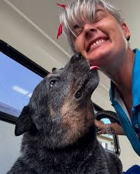 Dash DogWash Lismore