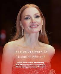 Hermosa Pomerania lista para ir a su nuevo hogar.