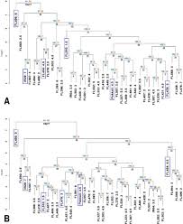Romanse , el cosplay , los mangas , y los gatitos. Transgressive Segregation For Salt Tolerance In Rice Due To Physiological Coupling And Uncoupling And Genetic Network Rewiring Biorxiv