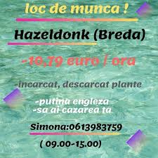 Model cv europass romana word 2021. Olandamannen Instagram Posts Photos And Videos Picuki Com