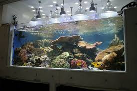Cool Home Aquarium Saltwater Fish Tanks Aquarium Fish Tank Aquarium
