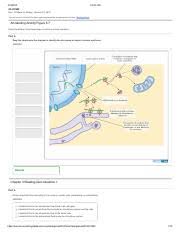 Chapter 12 MasteringBiology Homework Campbell Biology 11th edition