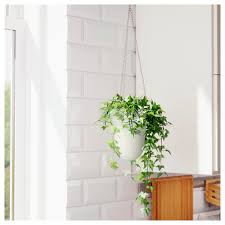 Make sure the two points that attach to the surface to keep the hanging plant steady are far enough from the wall to accommodate the size of the plant. 15 Creative Ways To Hang A Plant Outdoors The Family Handyman
