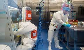 How do we know they're the hottest? Top Vaccine Scientist Says Coronavirus Could Only Come From An Animal Through A Freak Of Nature Daily Mail Online