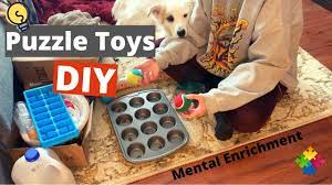 Maybe you would like to learn more about one of these? Brain Games For Dogs Diy Puzzle Toys Youtube