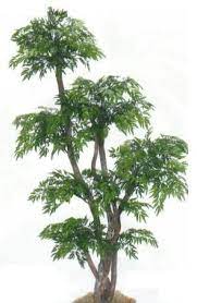 Artificial Ming Trees Artificial Plants Outdoor Artificial Plants Decor Artificial Plants Indoor
