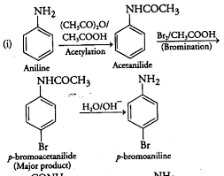 We did not find results for: Accomplish The Following Conversions Aniline To P Bromoaniline Cbse Class 12 Chemistry Learn Cbse Forum