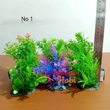 Java moss ini merupakan cukup populer untuk aquarium air tawar aquascape. Jual Tanaman Hias No 1 Aksesoris Aquarium Hiasan Akuarium Aquascape Plastik Makassar Hobi