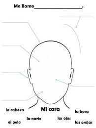 Pin On Spanish Handouts