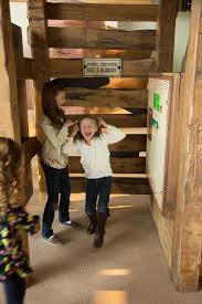 Museum Of Natural Curiosity At Thanksgiving Point Lehi Utah Thankspoint Thanksgivingpoint With Images Natural Curiosities Museum Nature