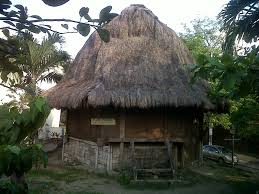 Ini kerana terdapat banyak manfaat dari buah nanas kepada kesihatan badan manusia. Rumah Tradisional Filipina