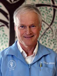 About Willow Animal Hospital