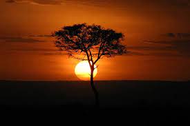 Florida maine shares a border only with new hamp. Besides English What Is Kenya S Trivia Questions Quizzclub
