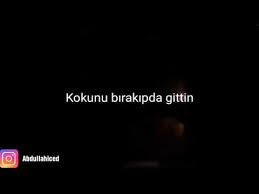 Kalbim Istesede Soyleyecegim Kelime 9 Harf 3 Tane Hece Siktir Git Ultraslan Guneyin Efendileri Mp3 Indir Cep Muzik Indir