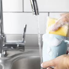 Water Smell Like Rotten Eggs