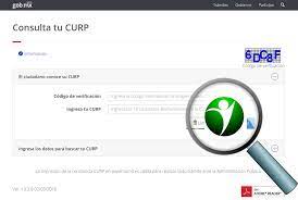 Consulta E Imprime Tu Curp Secretaria De Gobernacion Gobierno Gob Mx