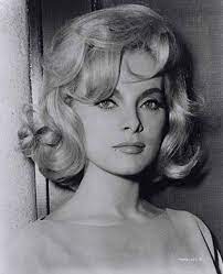 Here are a few you can choose from 20 Pics Of 1960 S Short Hairstyles