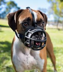 Baskerville Ultra Muzzle Company Of Animals