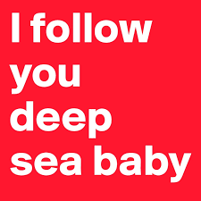 I Follow You Deep Sea Baby Post By Rolce Royce On Boldomatic