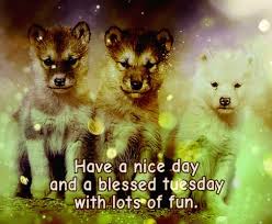 We have been providing the best possible care for your furry and feathered family members since 1949! á… Top 30 Happy Tuesday Images Pictures Photos Gifs