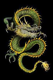Black And Gold Dragon Tattoo Get Profollica 2013 S Best Hair Loss Pills Treatments Dragon Pictures Dragon Art Chinese Dragon