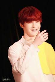 Pin By Irenita Awesome On Gemini Kpop Idols Kpop Idol Gemini Idol