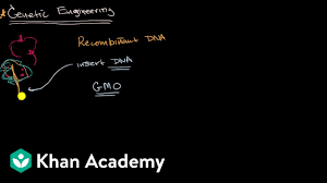 A gene is taken from one species and forced into another, which is what creates a transgenic organism. Introduction To Genetic Engineering Video Khan Academy