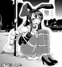 sakurajima mai (seishun buta yarou) drawn by eudetenis | Danbooru