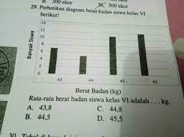 Membaca data berat badan siswa berikut ini adalah data berat badan siswa kelas 4 sd bakti muila (dalam kg): Perhatikan Diagram Berat Badan Siswa Kelas Vi Berikut Brainly Co Id