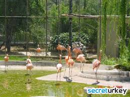 Darica Kus Cenneti Secreturkey Com