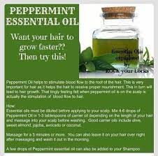 Moreover, to induce alertness, its aroma is commonly used. Peppermint Oil Is Great For Your Hair Growth Know Its Uses And Benefits Health And Beauty Facts